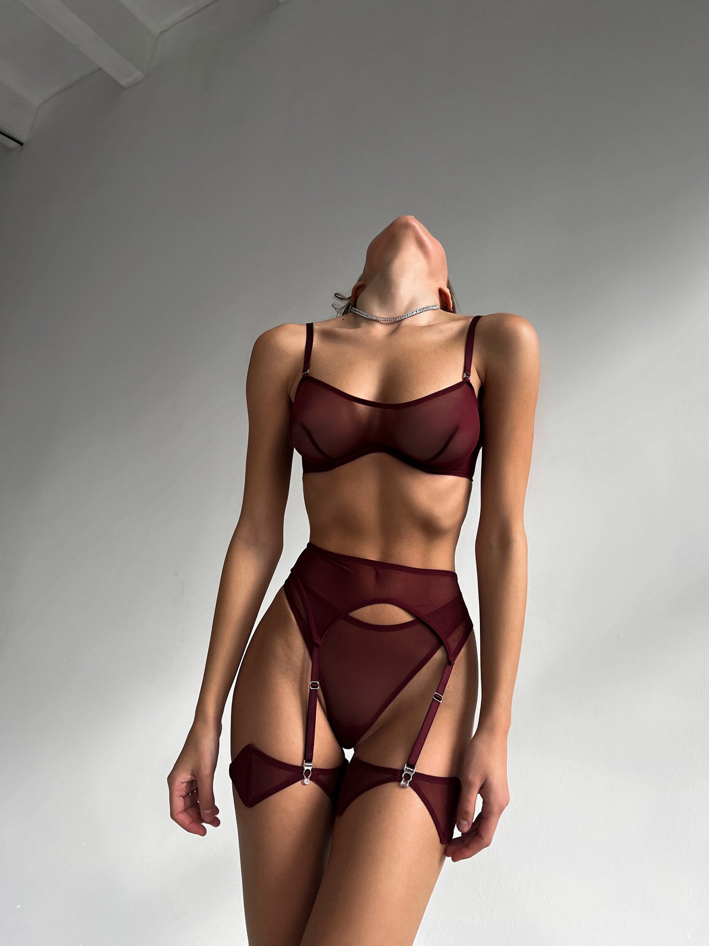 Ellolace Sensual Lingerie See Through Bra Kit Push Up Seamless Sheer Lace Intimate Soft Erotic Sets Garter Underwear Uncensored