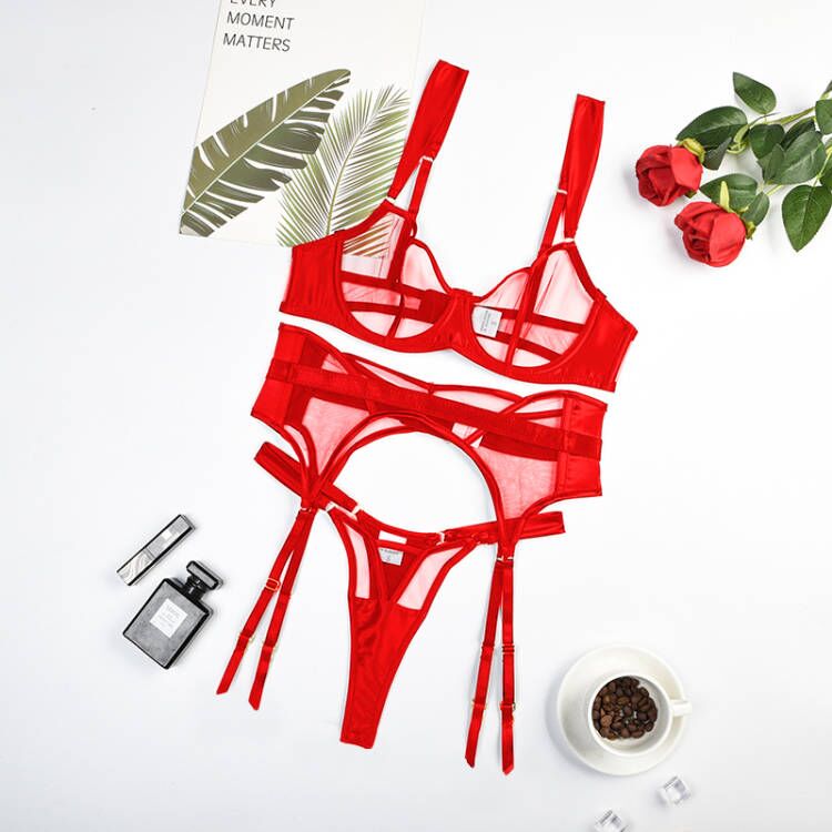 Sexy Transparent Lace Bra Kit Push Up Set 3 Pieces Garters Sets