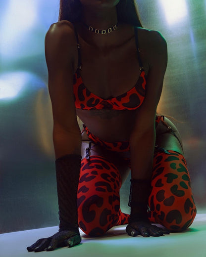 Leopard With Stocking Sexy Women Lace Bra Thongs