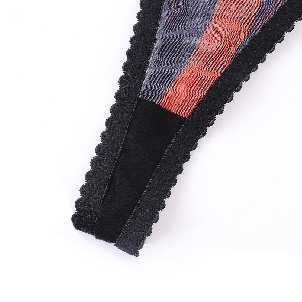 Ellolace Zebra Lingerie 5-Piece Porn Underwear Uncensored Transparent Seamless Intimate Woman Pig Sexy Sheer Lace Exotic Outfits
