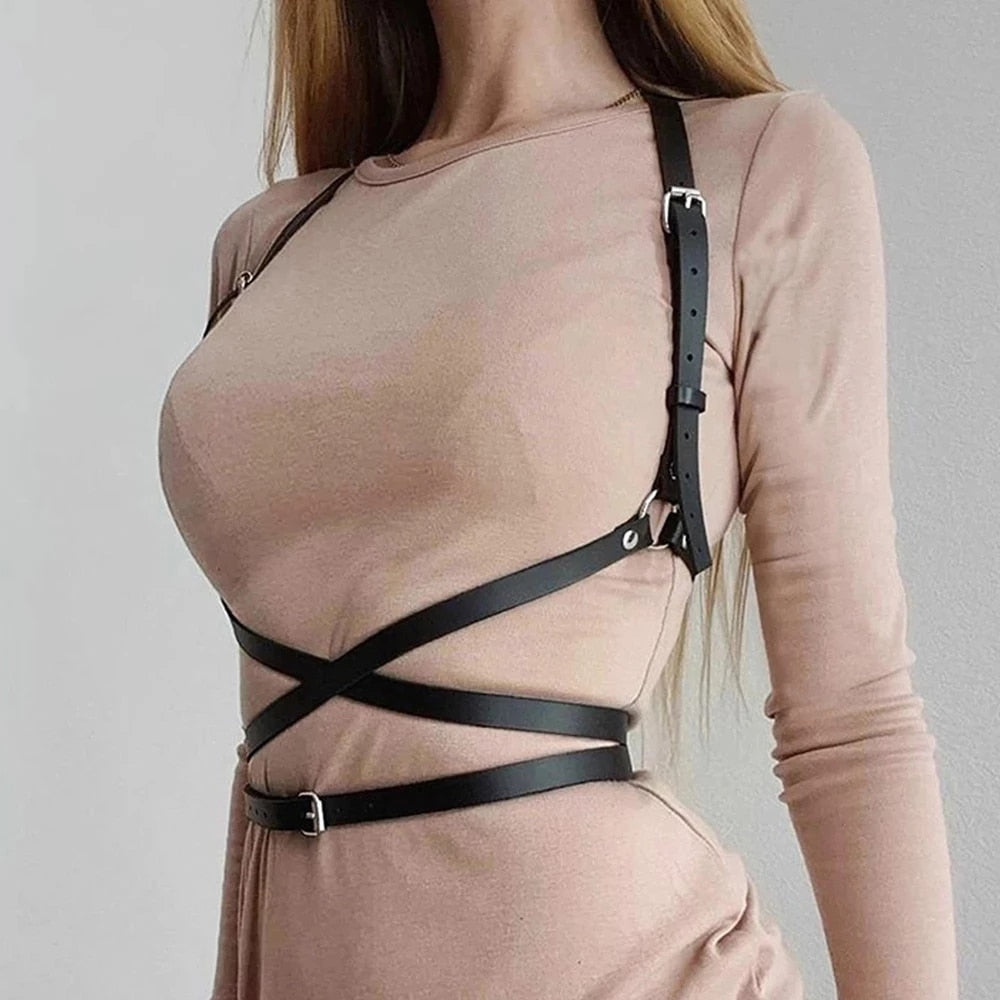 Penny's Wrap Around Harness